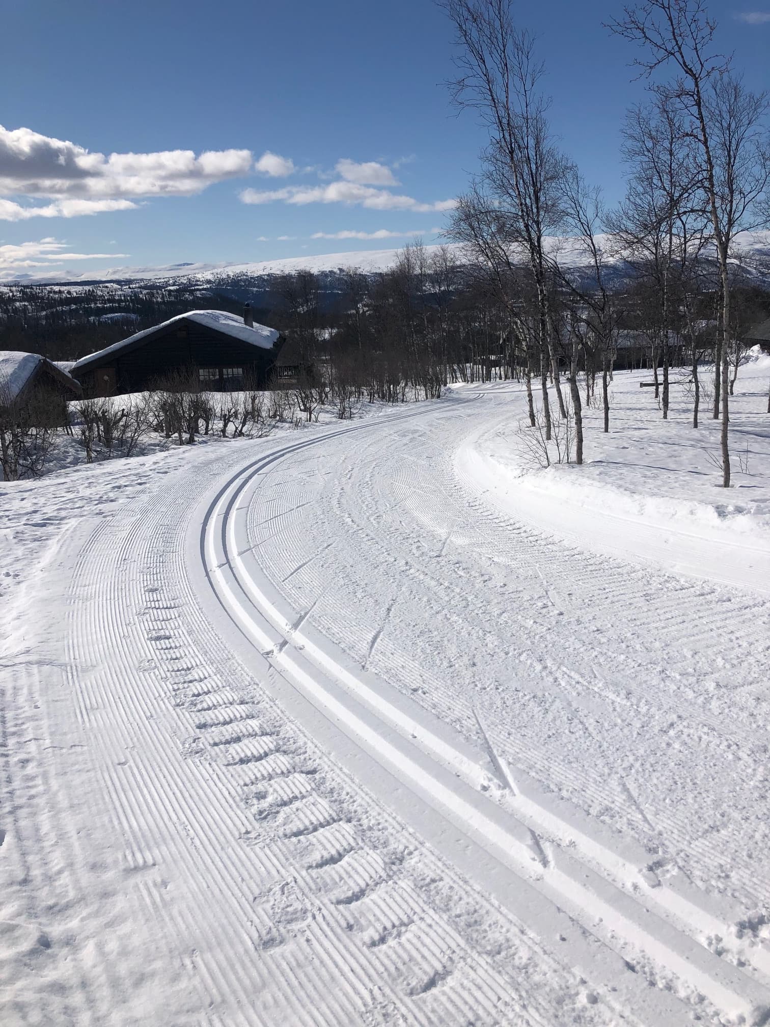 Preparert skiløype i vinterlandskap